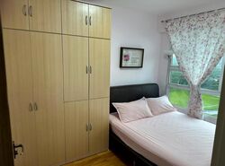 Blk 41A Skyoasis @ Dawson (Queenstown), HDB 3 Rooms #621582311